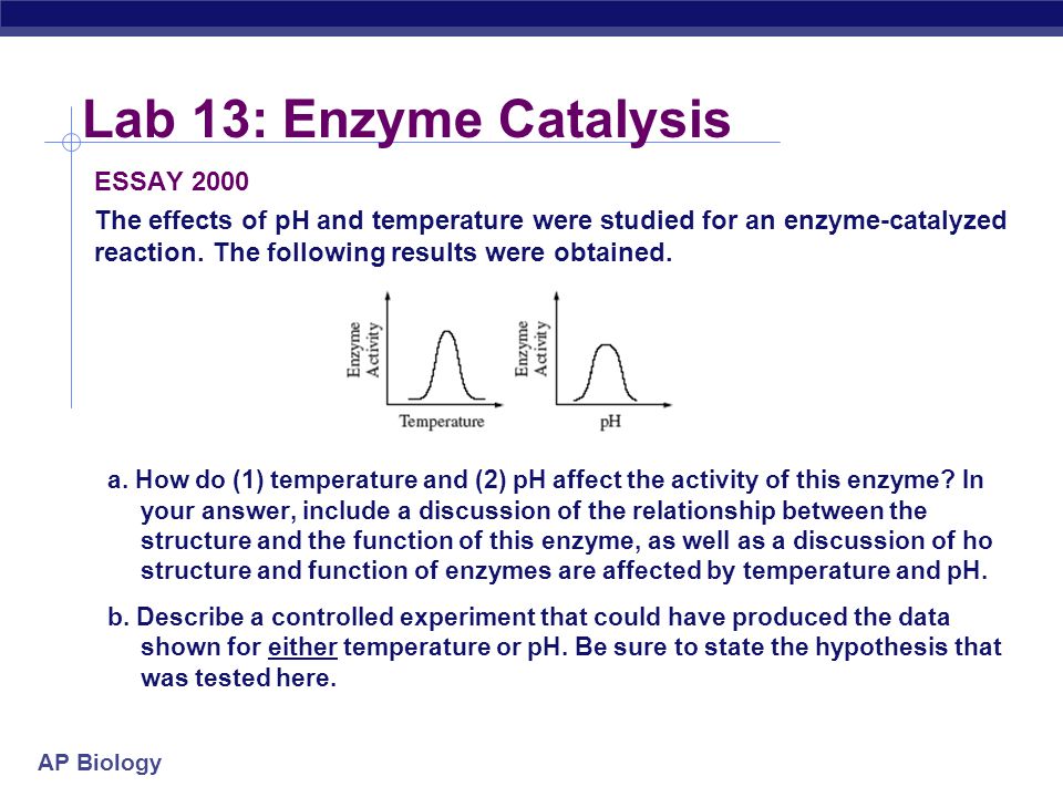 ap bio enzyme essay answers